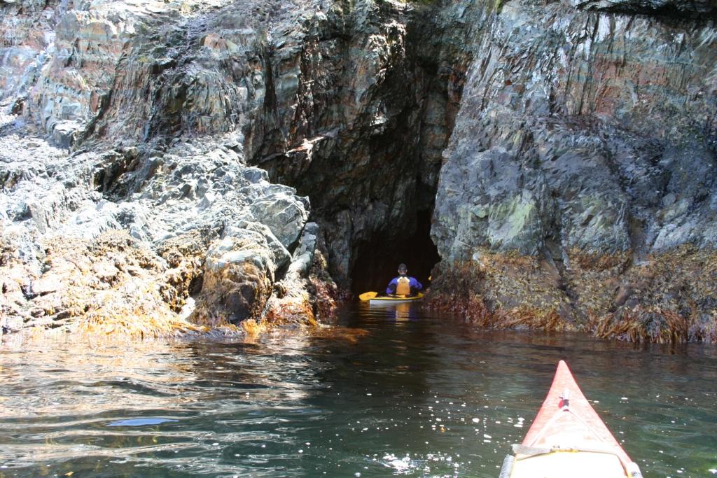 Newfoundland Sea Kayaking Cape Broyle