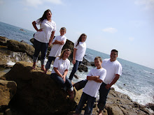 mi familia