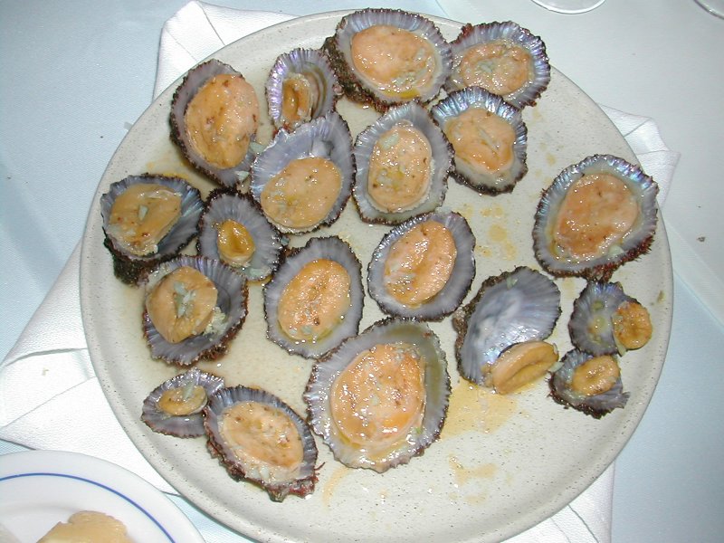 [DSCN3450.JPG]