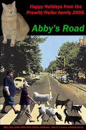 Abby's Road