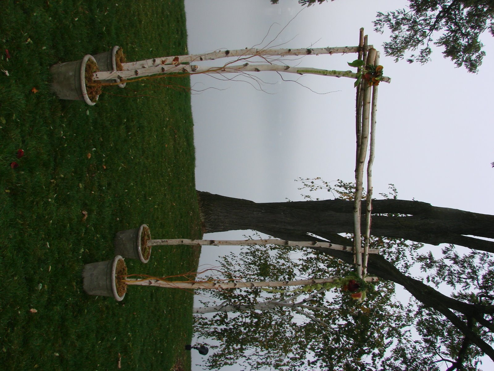[Birch+Arch+2.JPG]