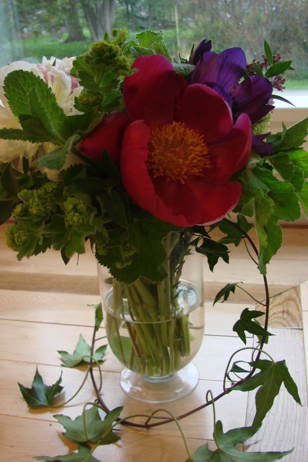 [DSC03644.JPG]