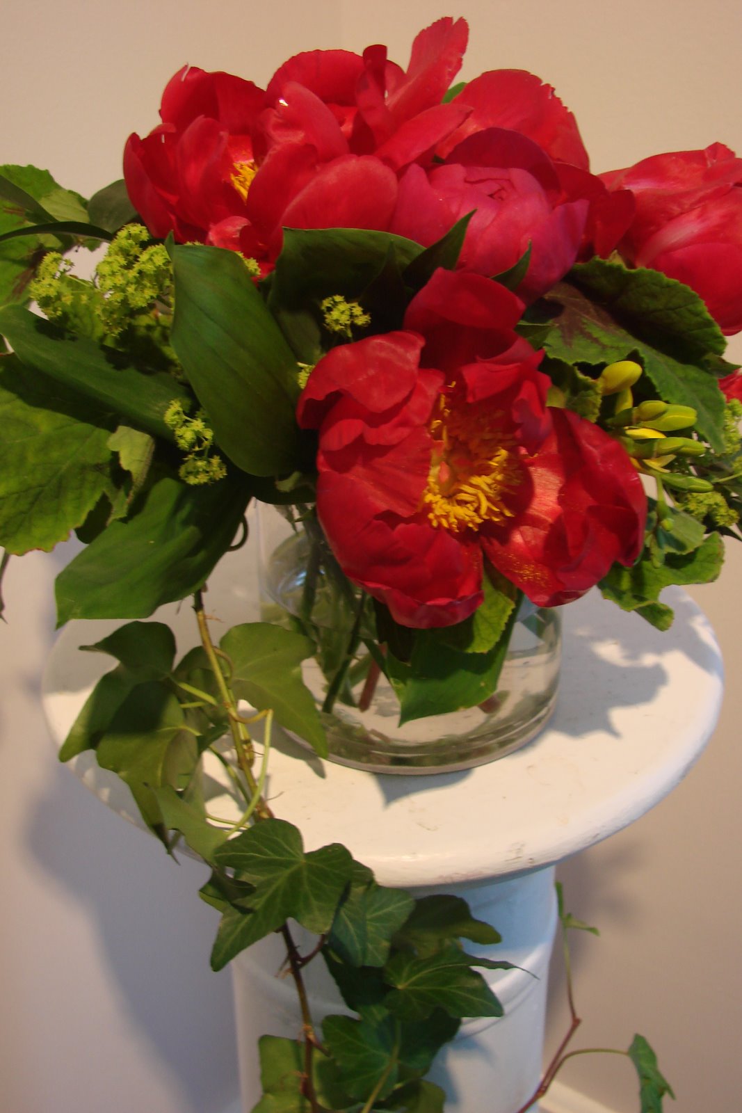 [DSC03894.JPG]