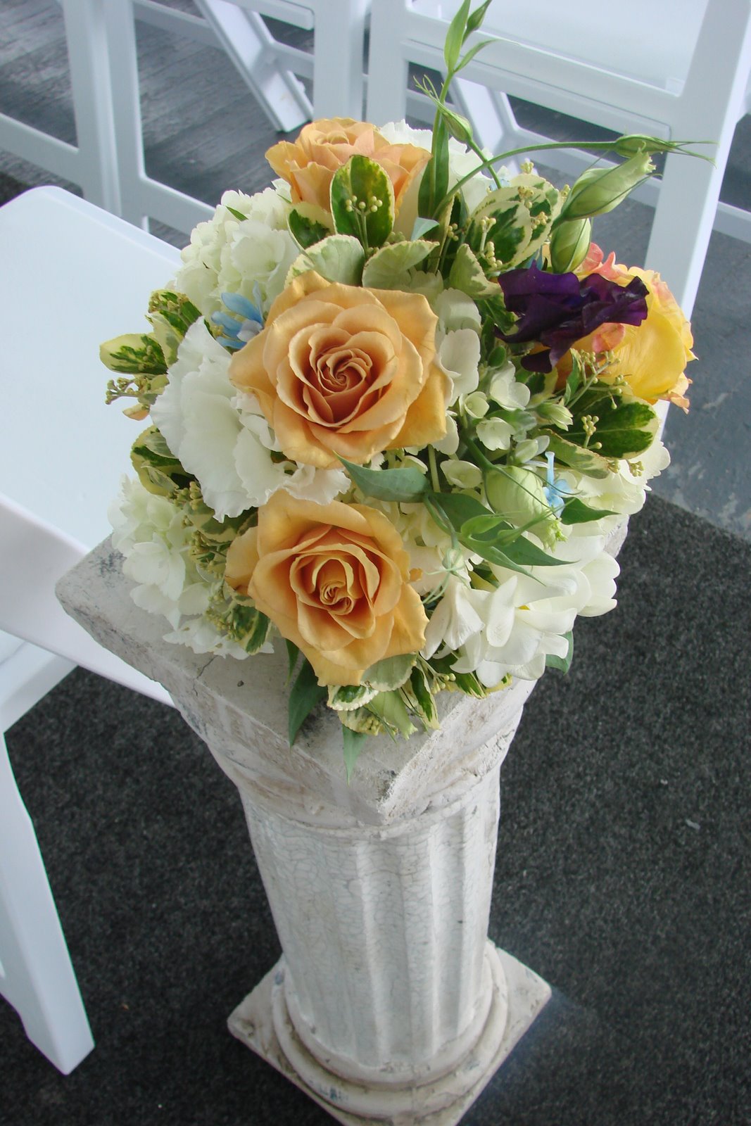 [DSC04041.JPG]