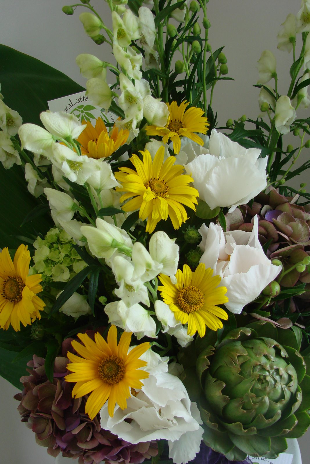 [DSC04137.JPG]