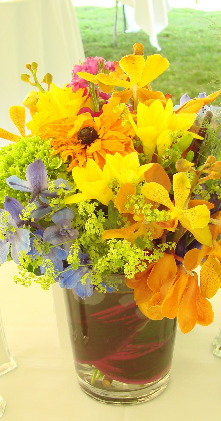 [DSC04601_edited-1.JPG]