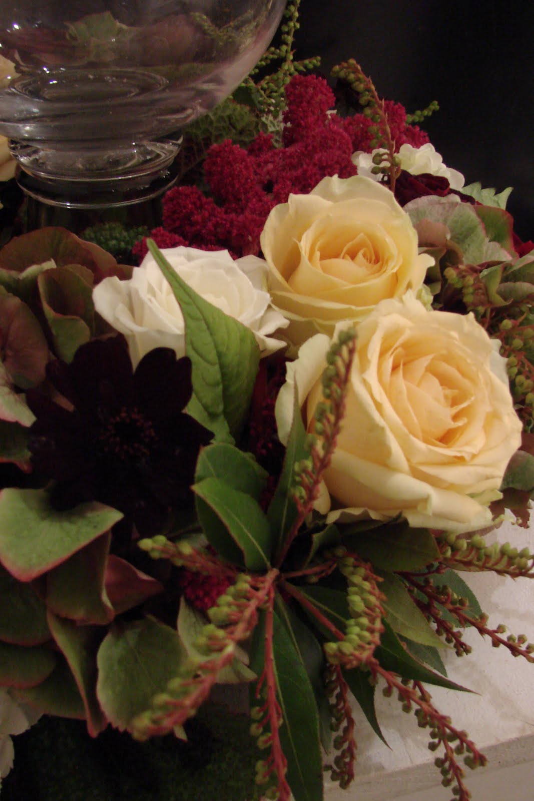 [DSC04736.JPG]