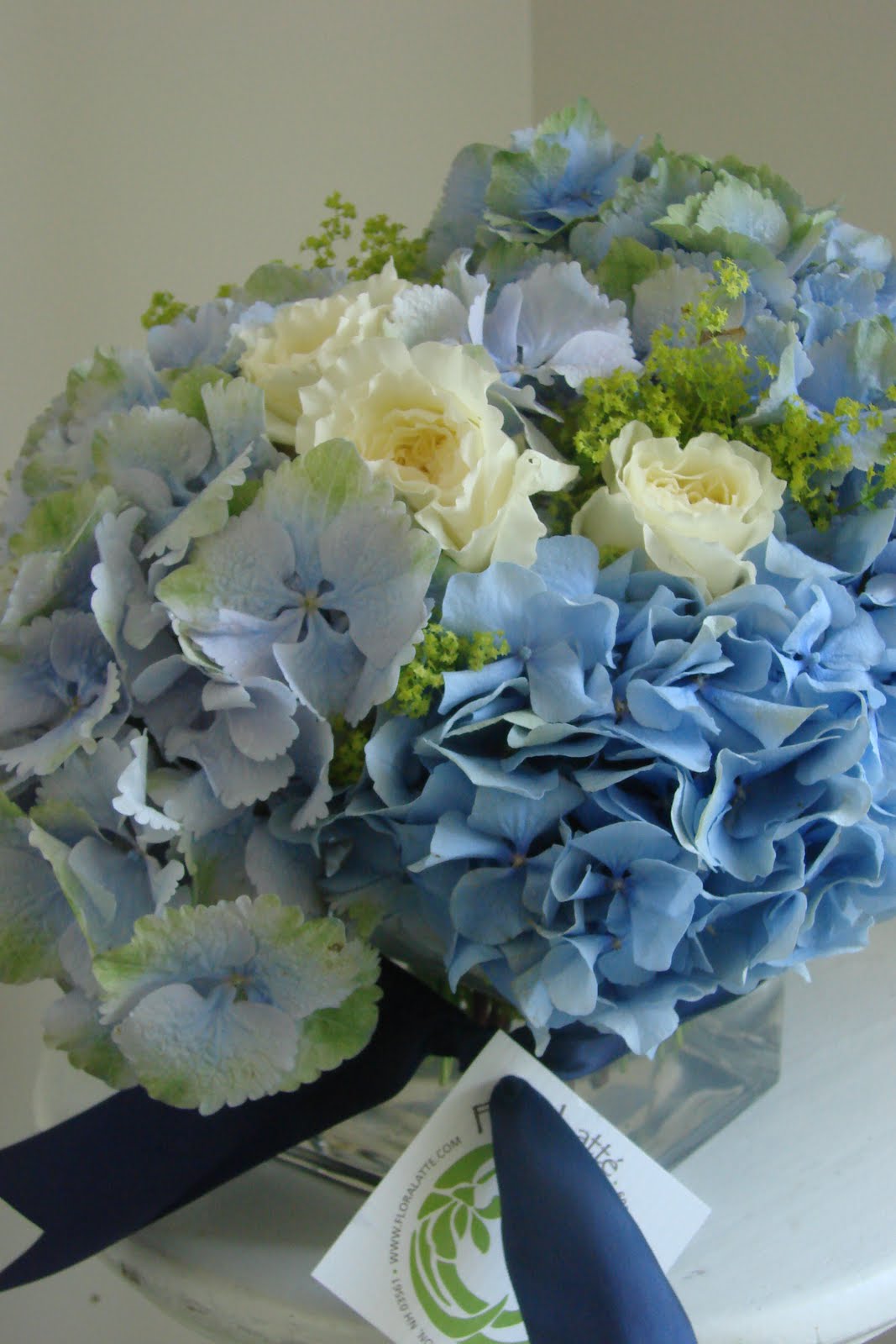 [DSC04135.JPG]