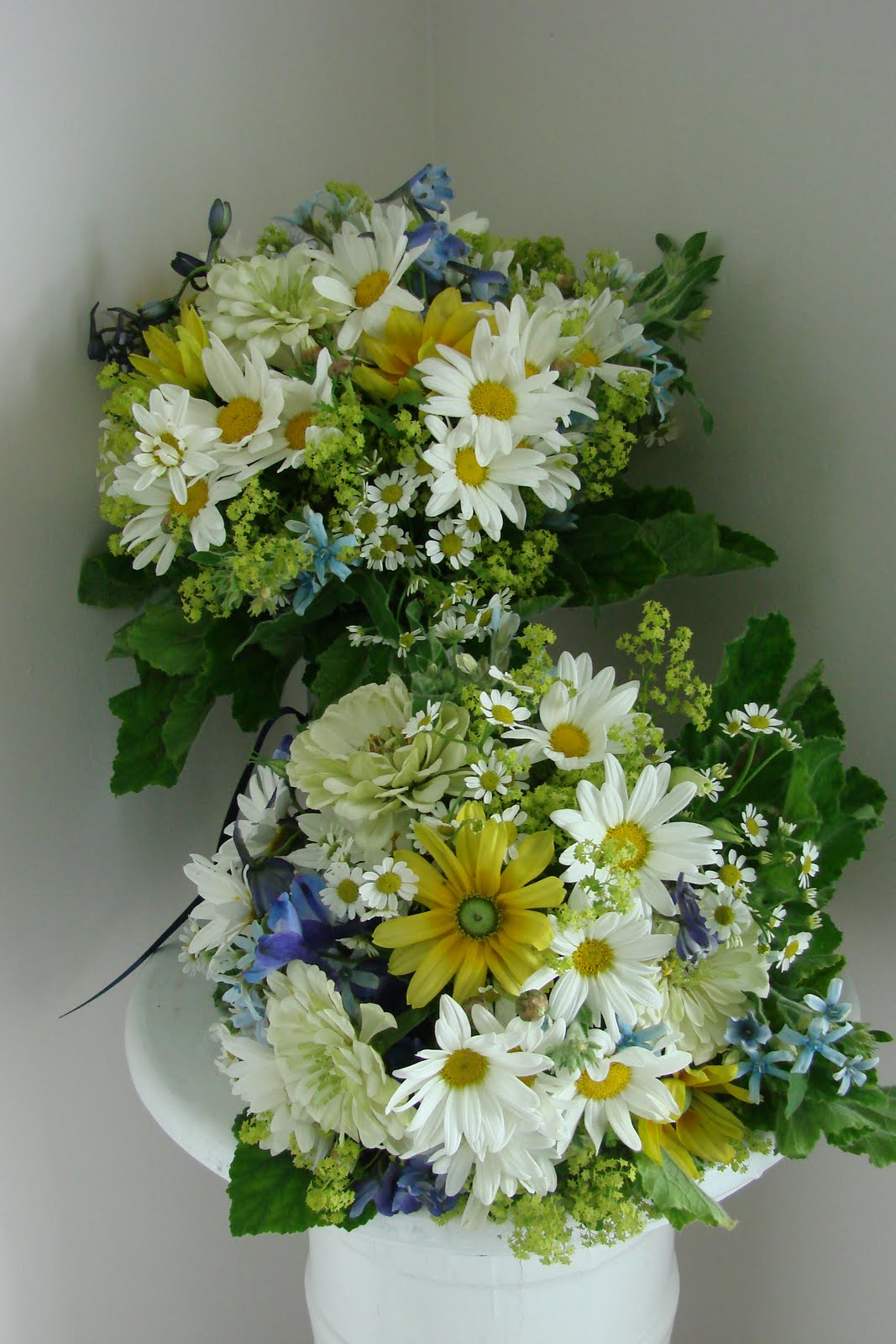 [DSC04962.JPG]
