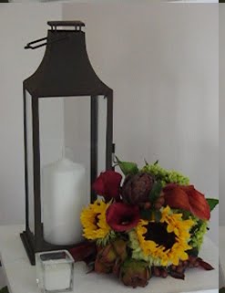[DSC05279_edited-1.JPG]