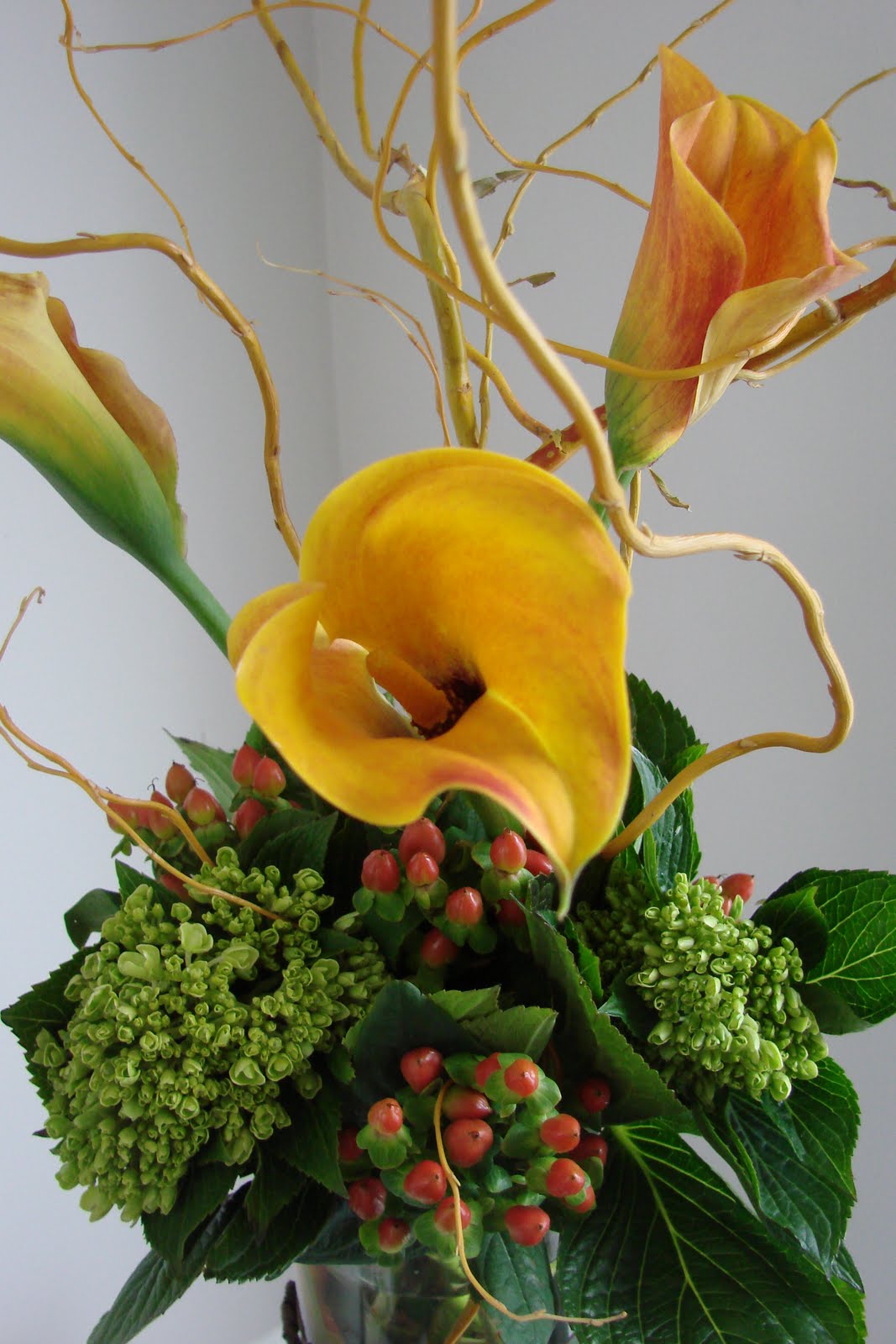 [DSC05397.JPG]