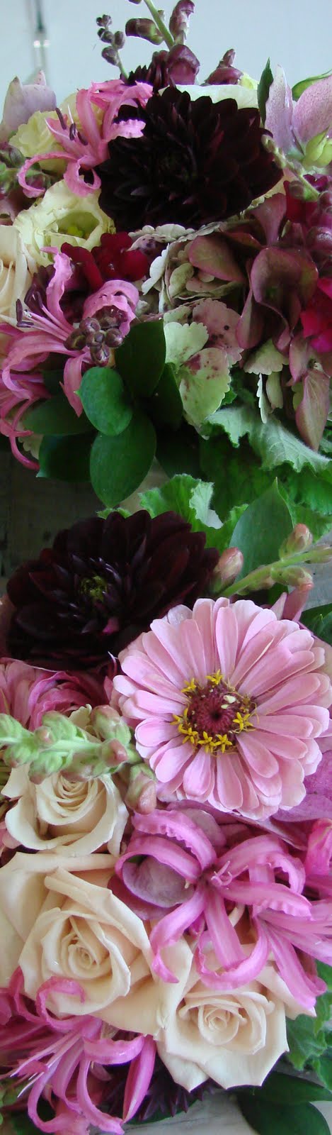 [DSC04871_edited-1.JPG]