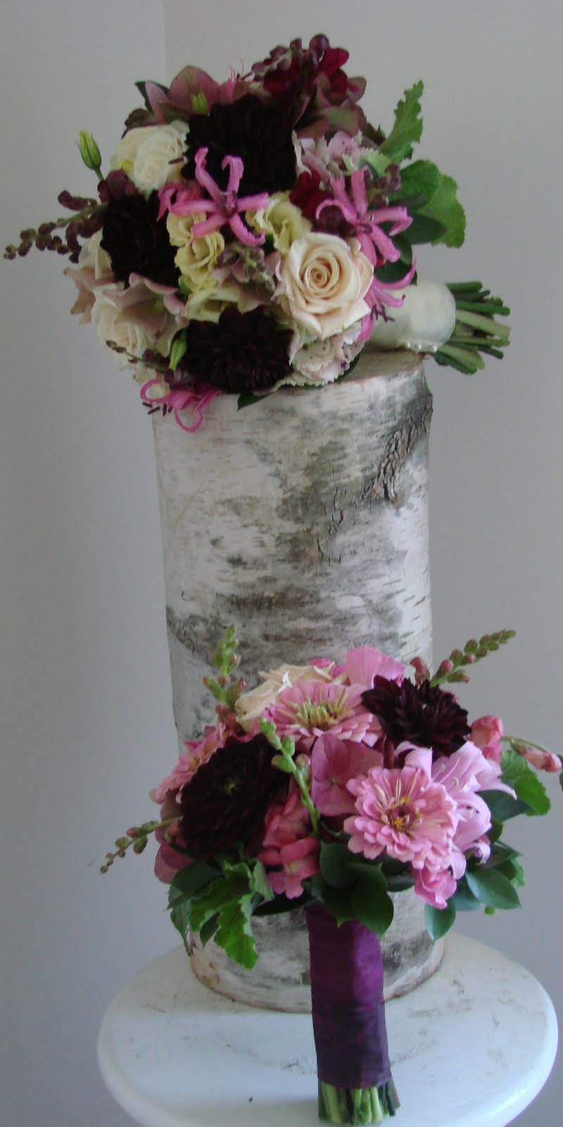 [DSC04875_edited-1.JPG]