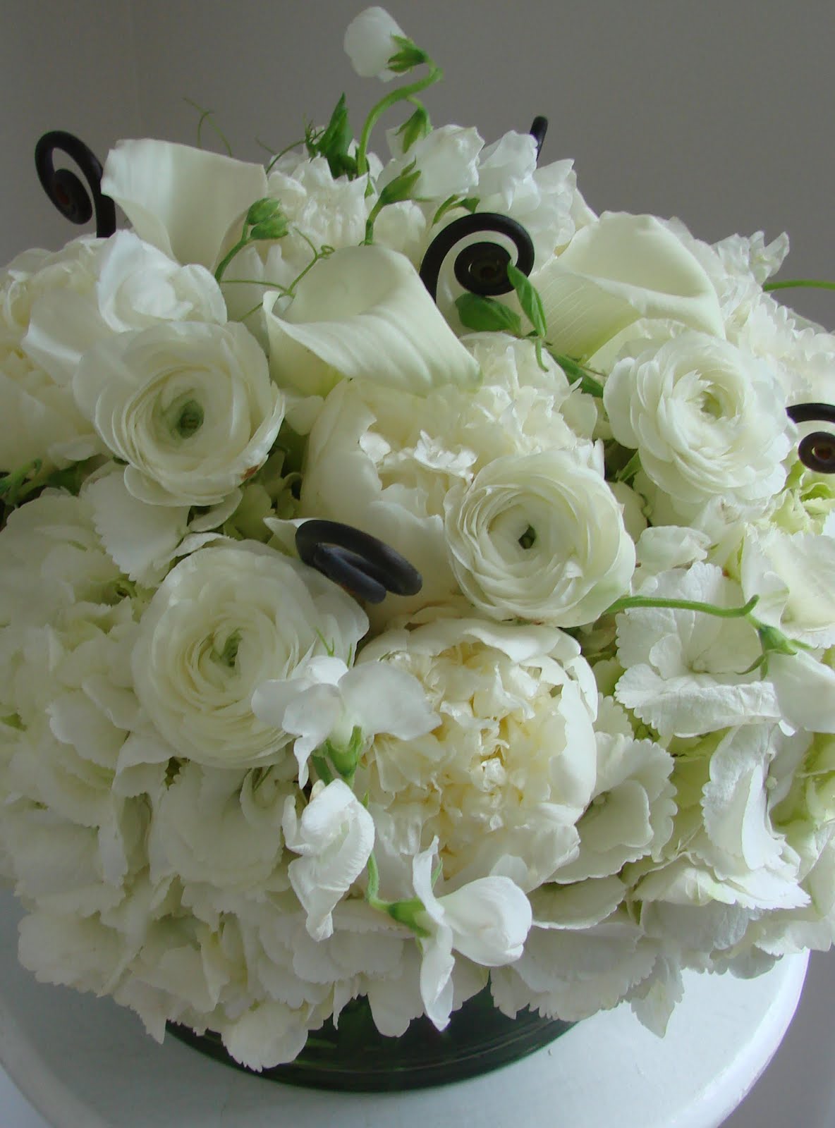 [DSC03827_edited-1.JPG]