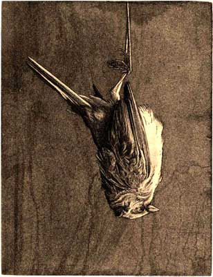 BRIEF HISTORY OF MEMENTO MORI