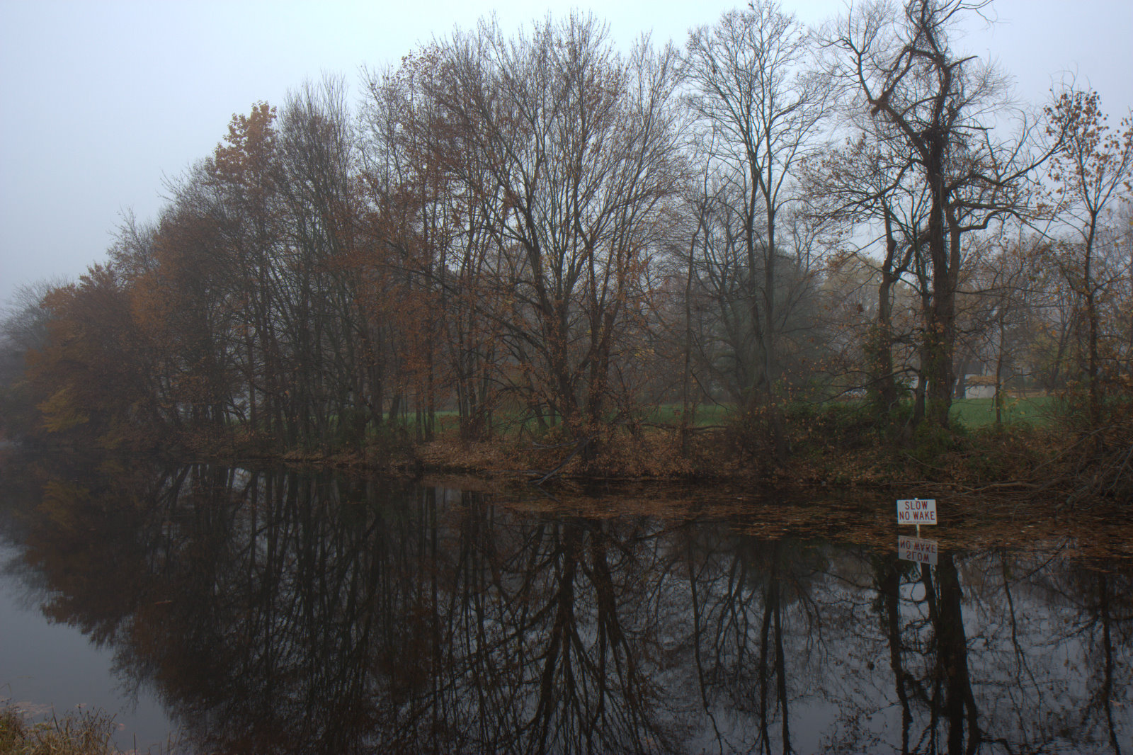 [IMG_1843.jpg]