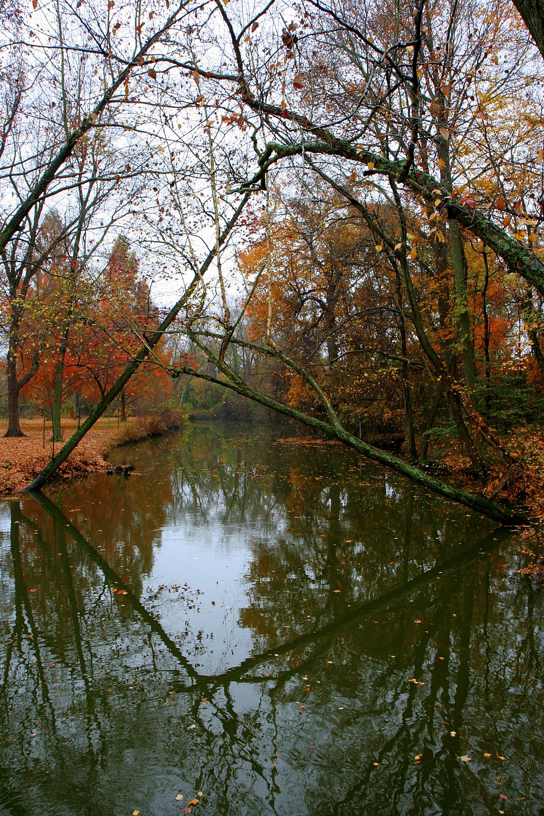 [IMG_1966.JPG]