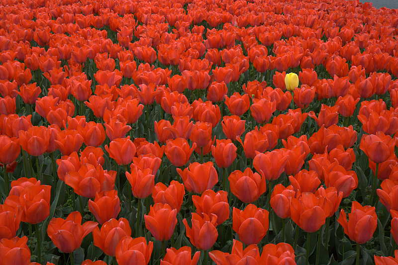 [IMG_2674.jpg]