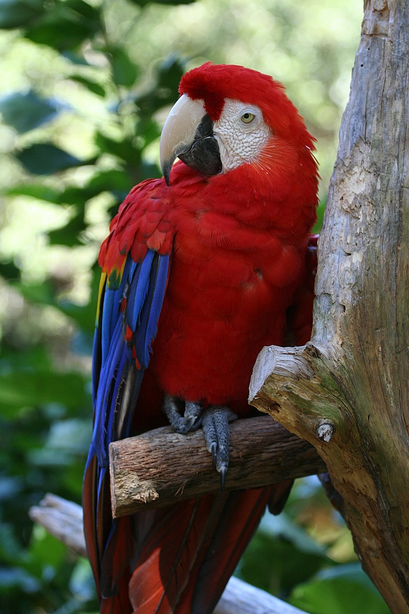 [IMG_8487.jpg]
