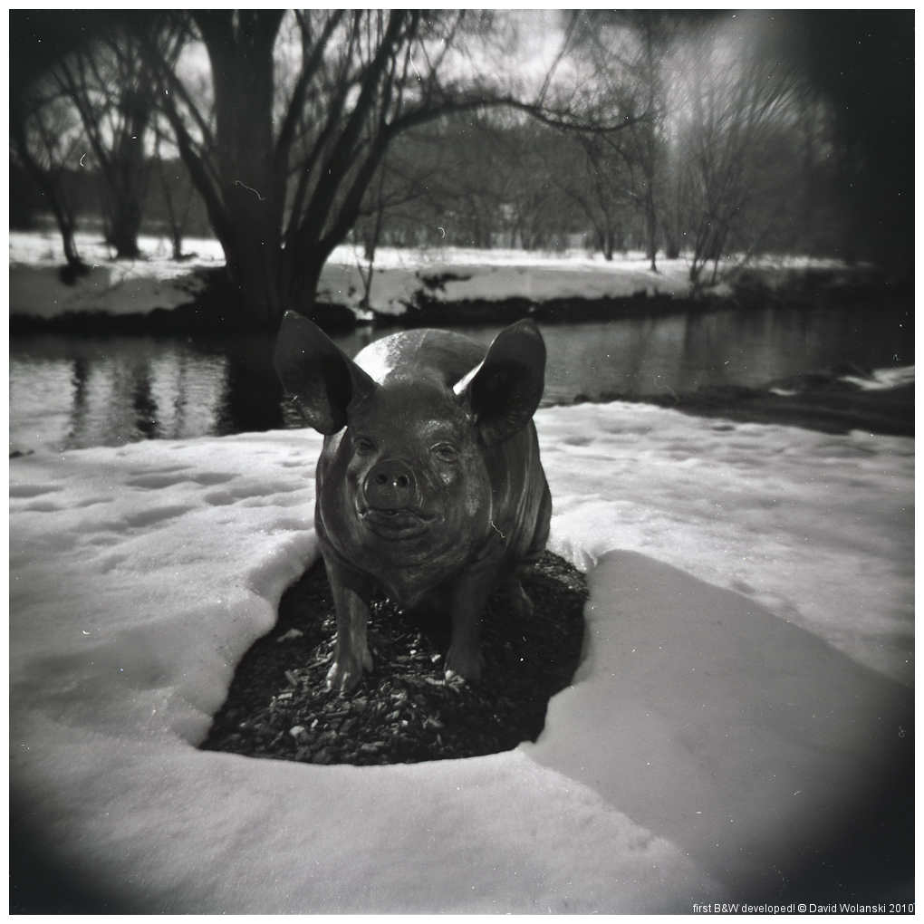 [first+b&w1.jpg.jpg]