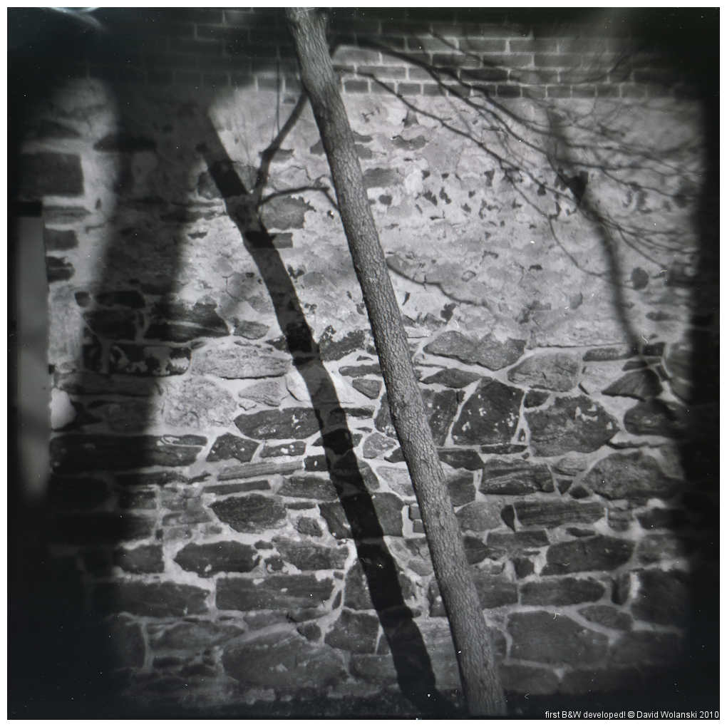 [first+B&W002.jpg]