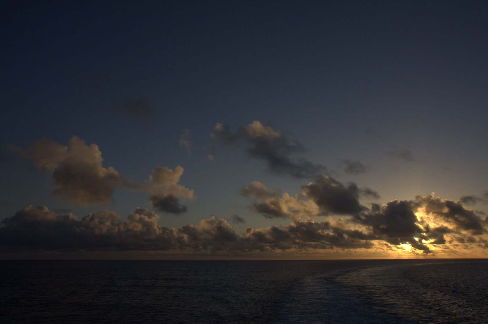 [IMG_8531.jpg]