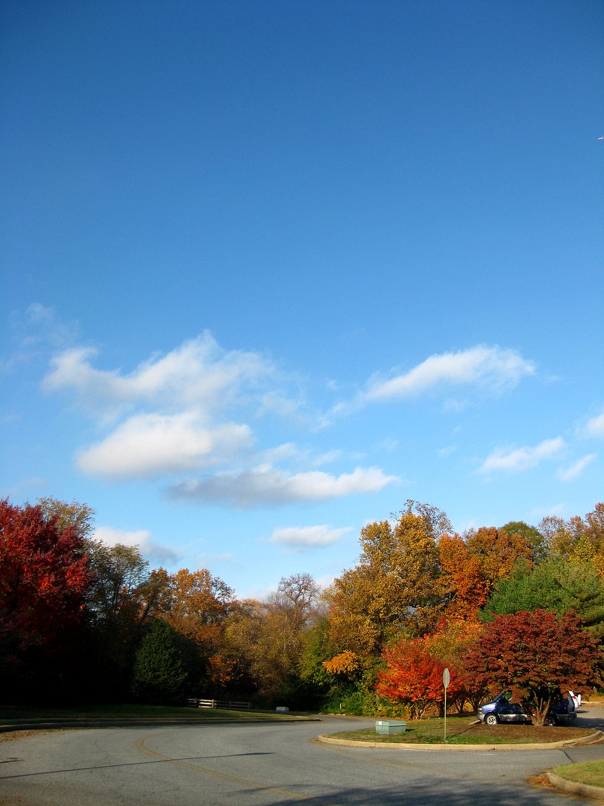[IMG_1493.JPG]