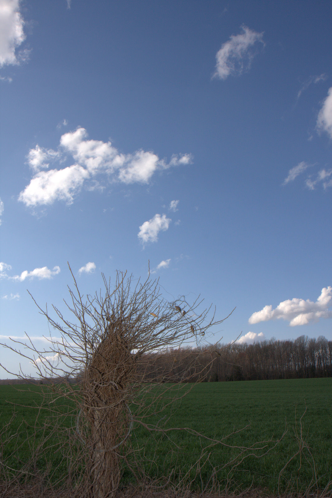 [IMG_6384.jpg]