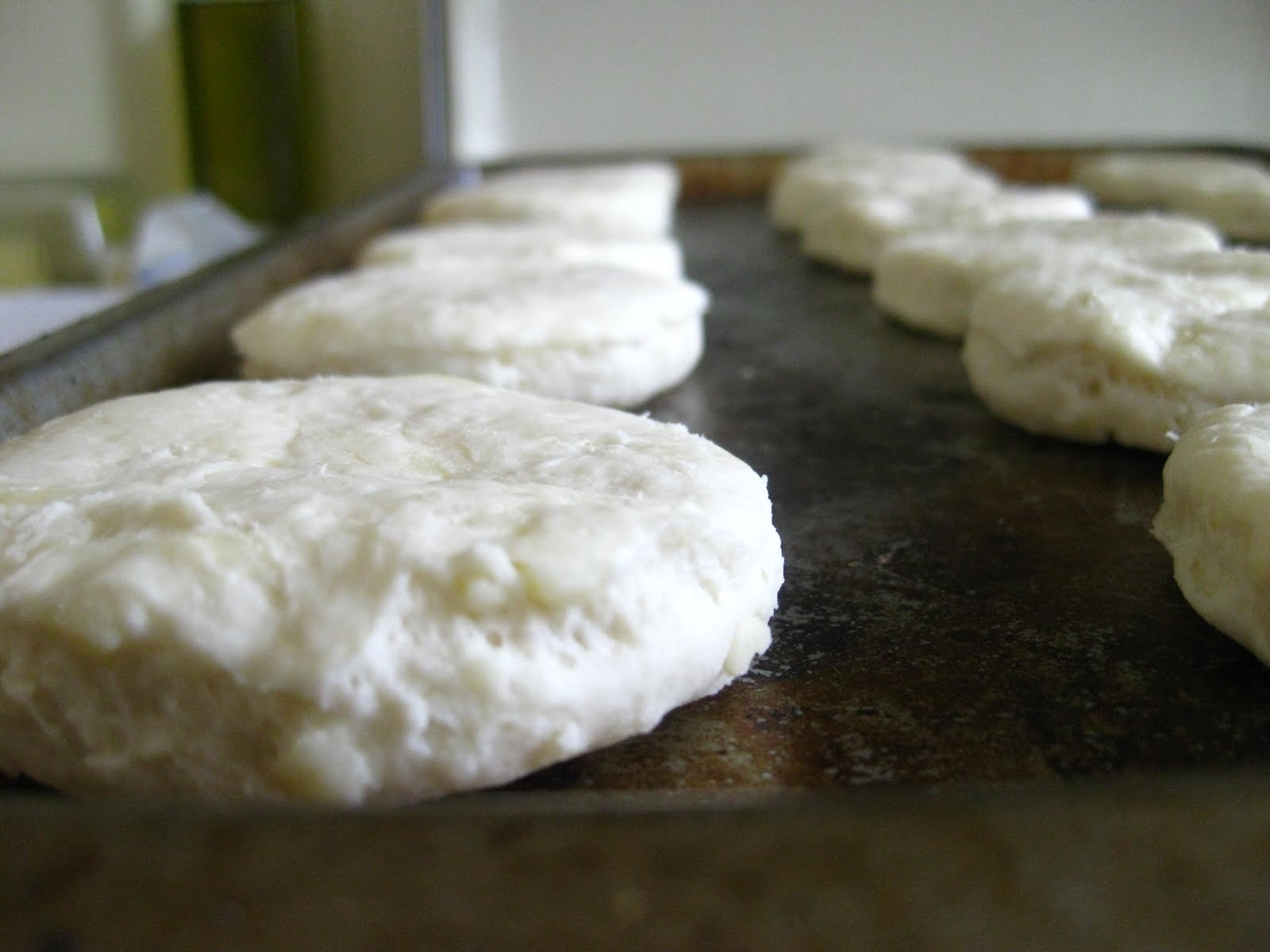 The Blueberry Files Biscuits and Gravy