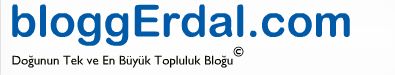 bloggErdal