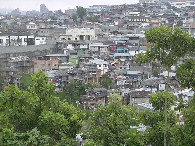 [PICT0031.JPG]