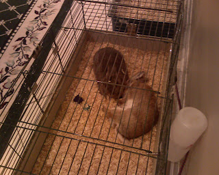 Eldridge and his lady friend in a quiet moment