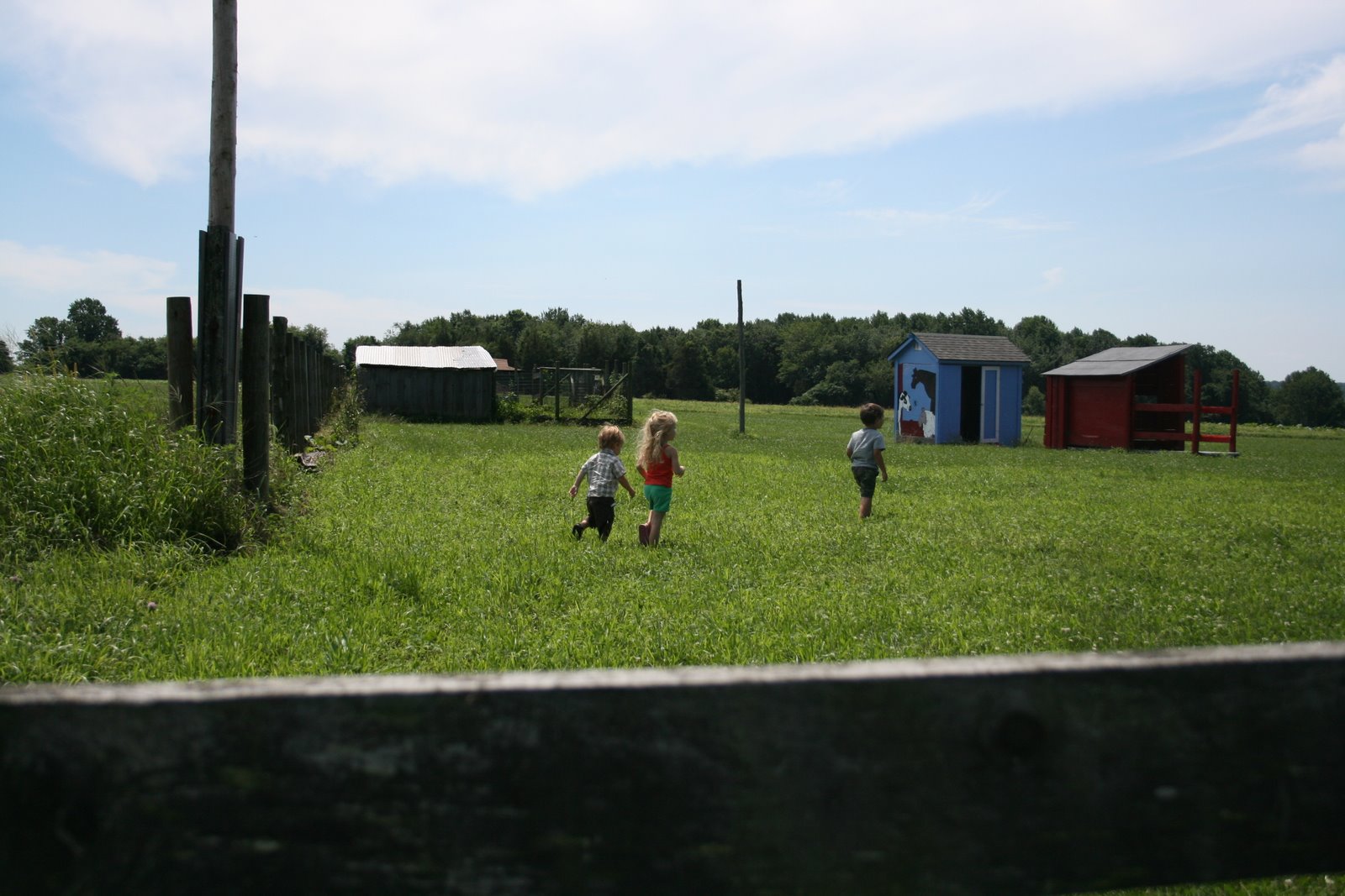 [IMG_6521.JPG]
