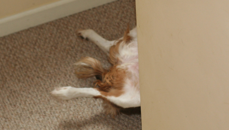 [caught_my_eye2.jpg]