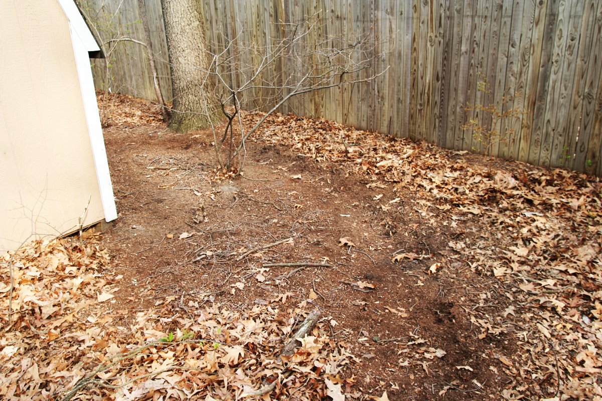 [southern-belle_5.jpg]