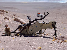 Salar de Quisquiro, efectos mina antitanque en vehículo civil