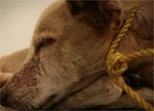 [afdfaa8c20754f3e92f7fc02b3f847e9.jpg]