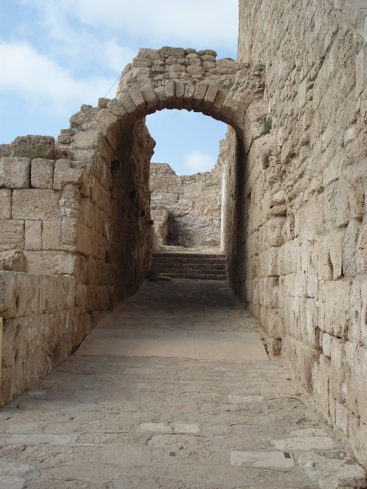 [DSC05668.JPG]
