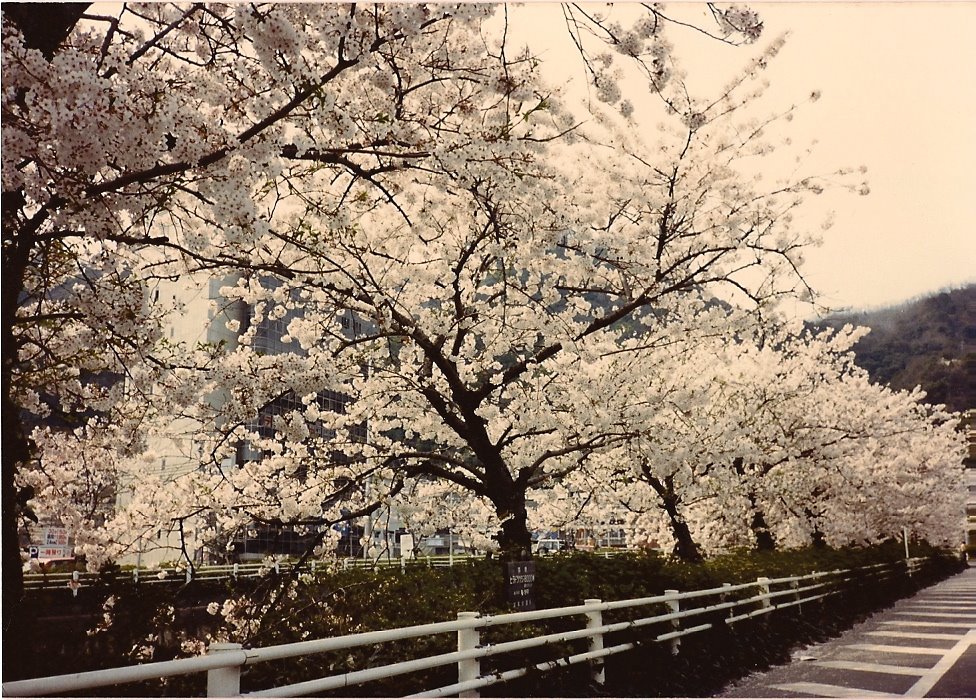 [sc0082cd3f.jpg]
