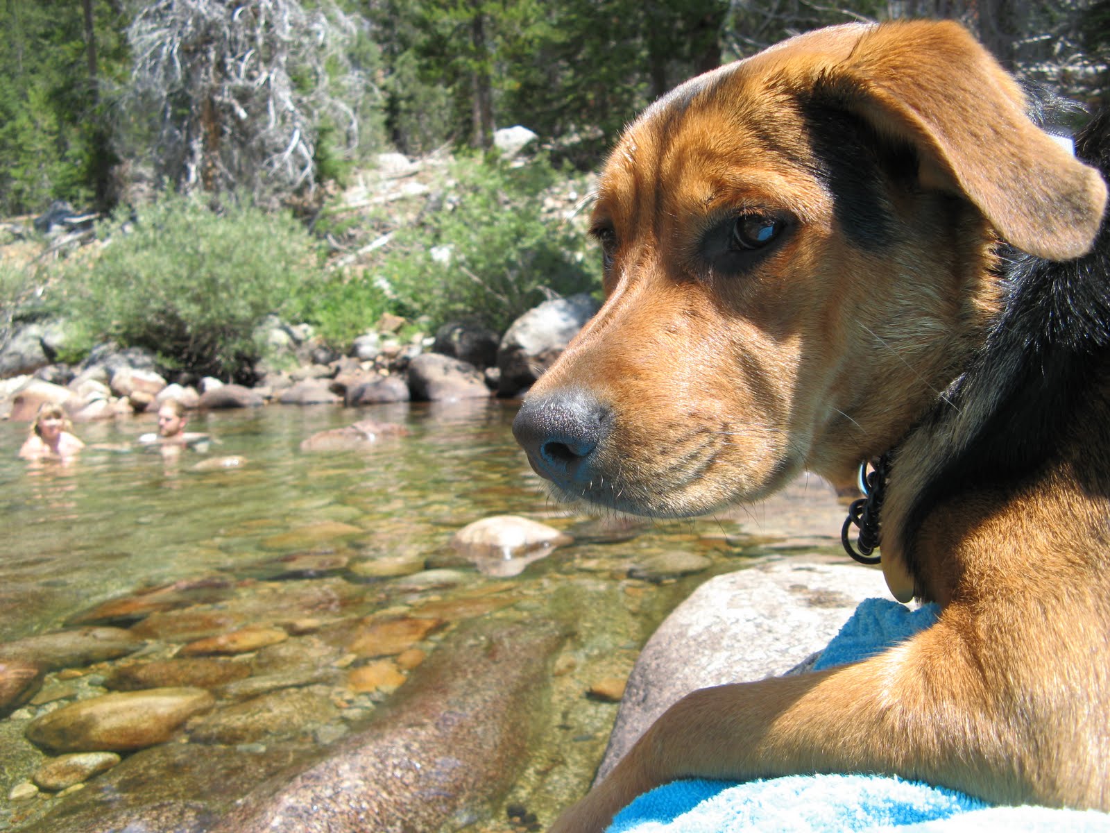 [Granite+Creek_9_95.JPG]