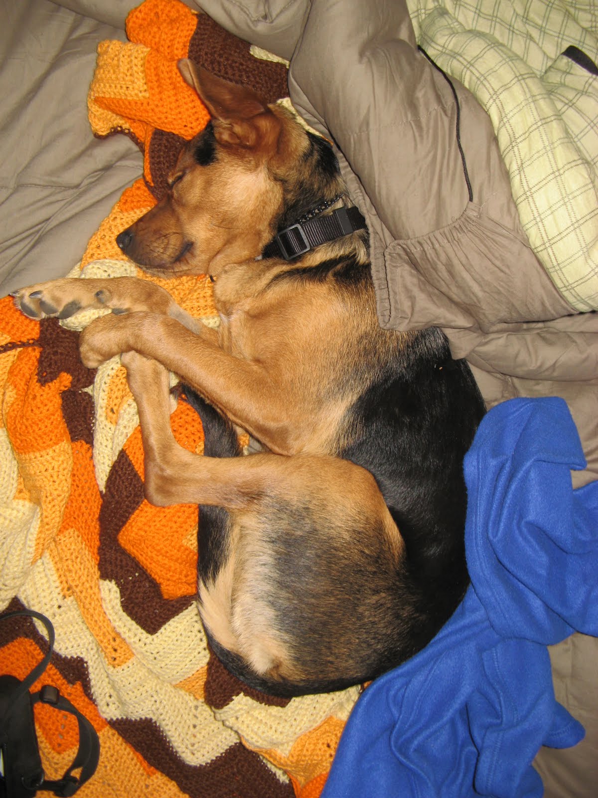 [Granite+Creek_9_59.JPG]