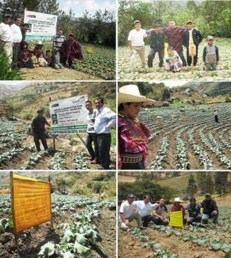 COMERCIALIZACION AGRICOLA comercializacion agricola:
