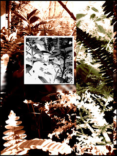 colors,images,photography,abstract, photoshop