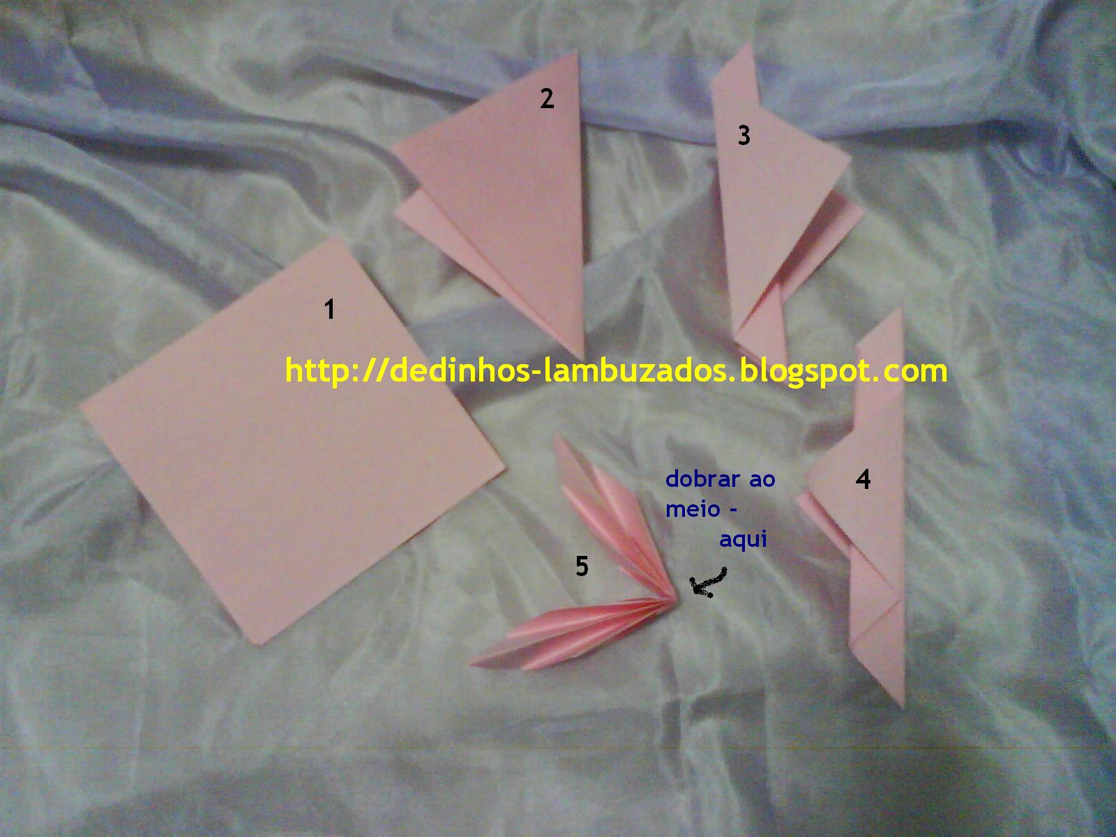 [asas+da+borbo+como+dobrar+md.JPG]