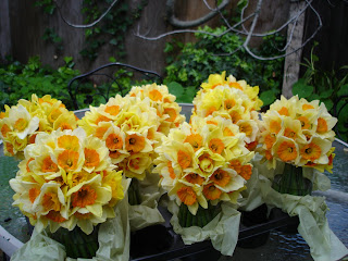 Daffodil Table Centerpieces