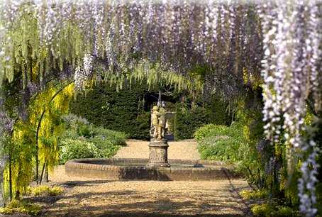 [garden.jpg]
