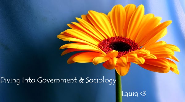 Diving Into Government