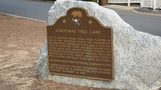 arroyolover christmas tree lane an 80 year altadena california christmas tree lane pasadena