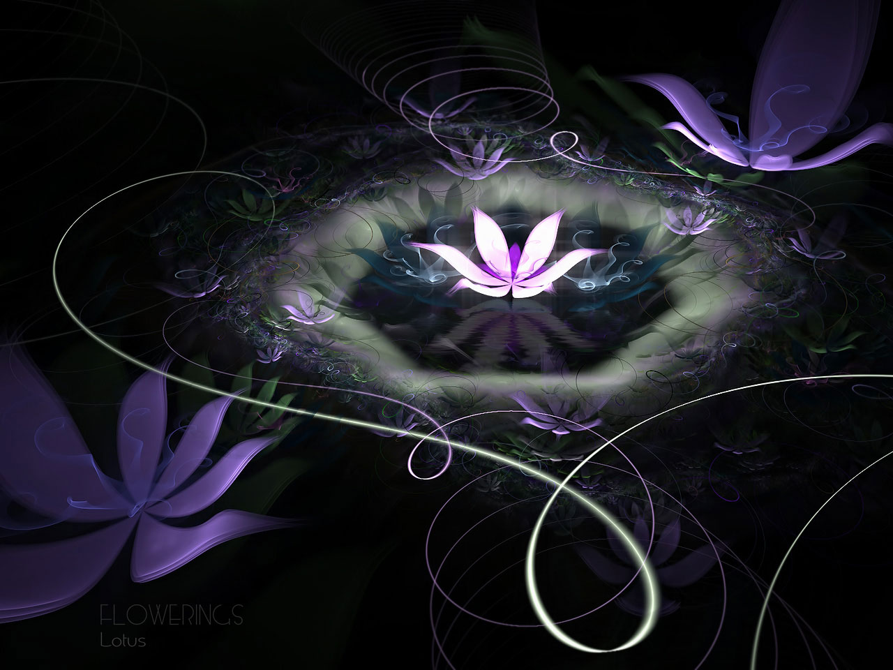 http://4.bp.blogspot.com/_fP1y4T5-DFE/TC5NQUKOClI/AAAAAAAAAk4/whD06jLgeEg/s1600/Fantastic+Abstract+Flowers_14636.jpg
