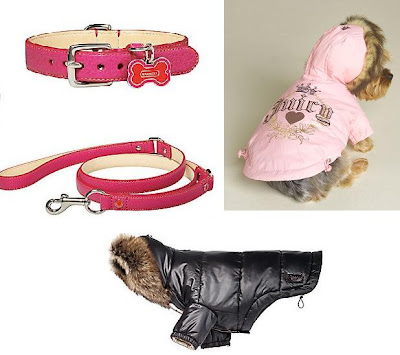 coach pet collar